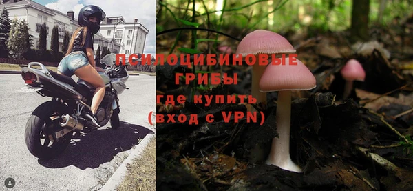 мяу мяу мука Инсар