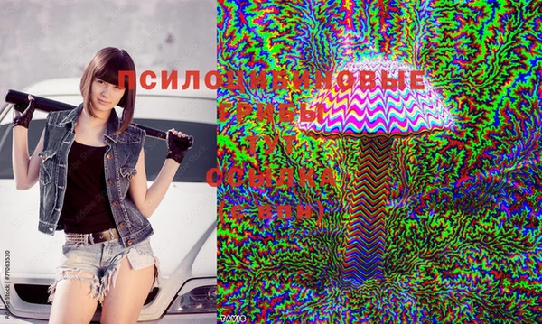 mdpv Зерноград